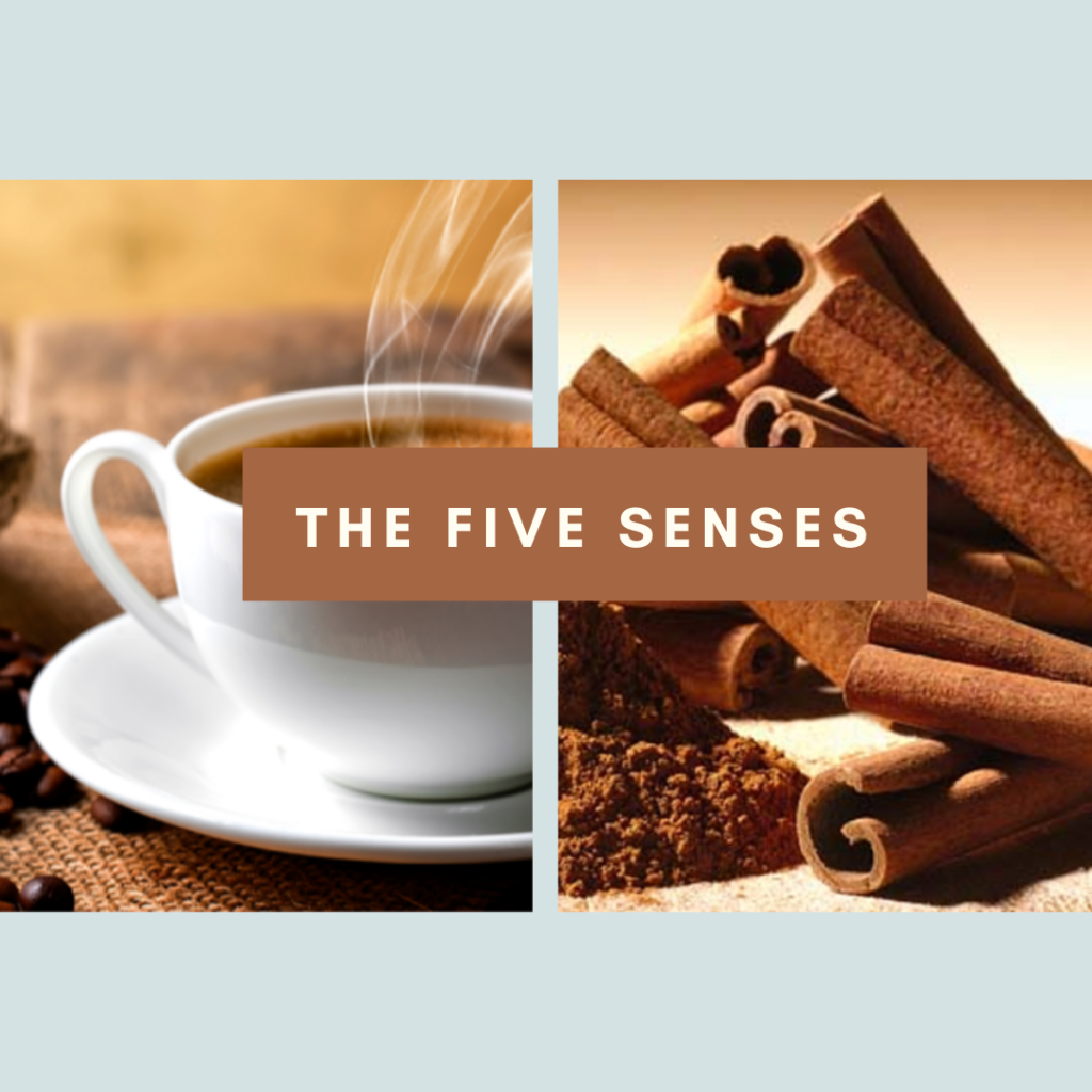 The Five Senses